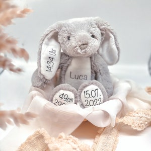 Lapin en peluche personnalisé avec nom et dates de naissance / Lapin de Pâques / Cadeau bébé pour la naissance / Cadeau de Pâques enfants image 1