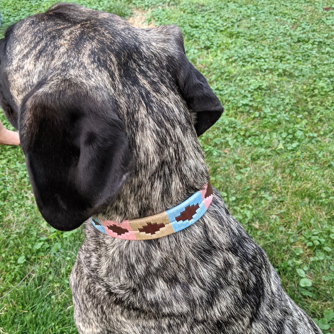 Hand Stitched Leather Dog Collar Polo Style Dog Collar Etsy
