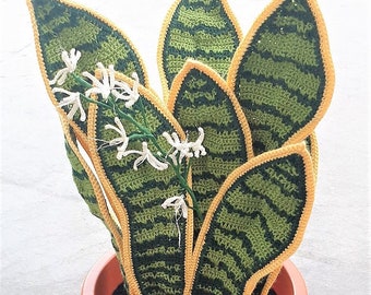 PDF Pattern Only: Crochet Sansevieria, snake plant, mother-in-laws tongue, Instant Download!