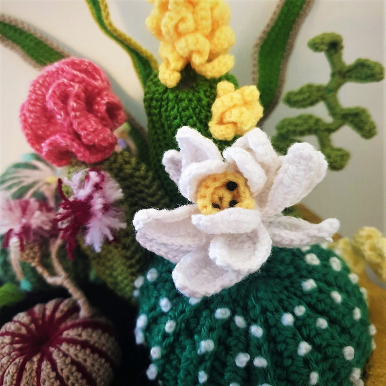 Crochet Pattern PDF 3 Cacti Plus Plants - Etsy