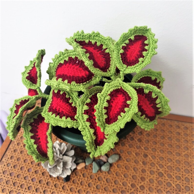 PATTERN Crochet Coleus Plant Cretona English & Español Etsy
