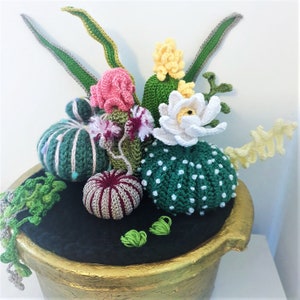 Crochet Pattern PDF 3 Cacti plus plants