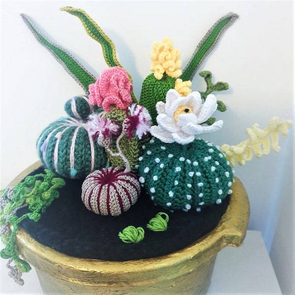 Patrón PDF Crochet Set 3 Cactus y plantas