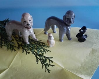ビンテージ磁器の白いプードルの置物。ミニチュアの犬の置物として最適