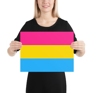 Pansexual Pride Flag poster