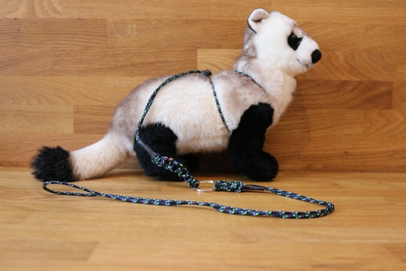 Ferret lead 2025