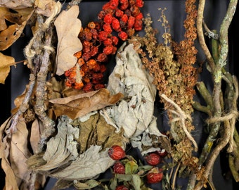 Pagan Apothecary Pack - Ritual Herbs, Sticks, Leaves - Rowan Berries, Oak, Hawthorn, Burdock, Twisted Hazel, Dogwood, Spellcraft Supplies