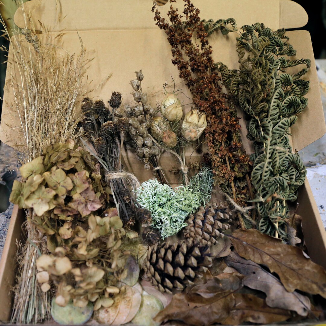 Autumn Dried Craft Supplies, Natural Handpicked Celtic Leaves, Flowers ...