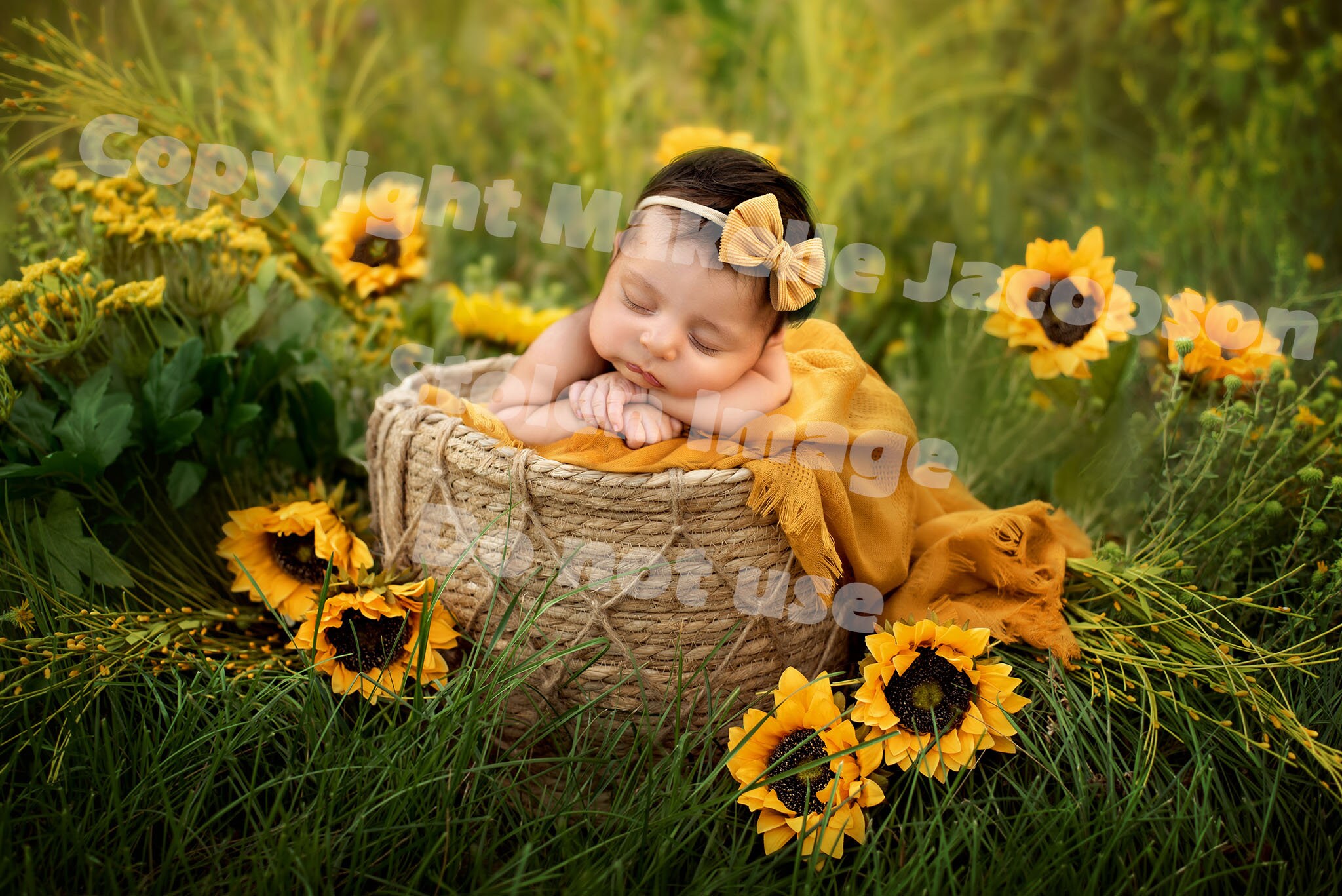 Sunflower Newborn Digital Backdrop Spring Baby Background - Etsy