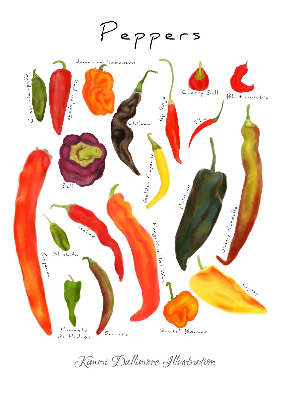 Chilli Pepper Art Print Peppers Wall Chart Peppers Print Etsy