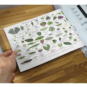 Folhas de plantas de casa para impressão, Download instantâneo, Ilustração botânica para decoração de casa, Quadro de parede de plantas de interior