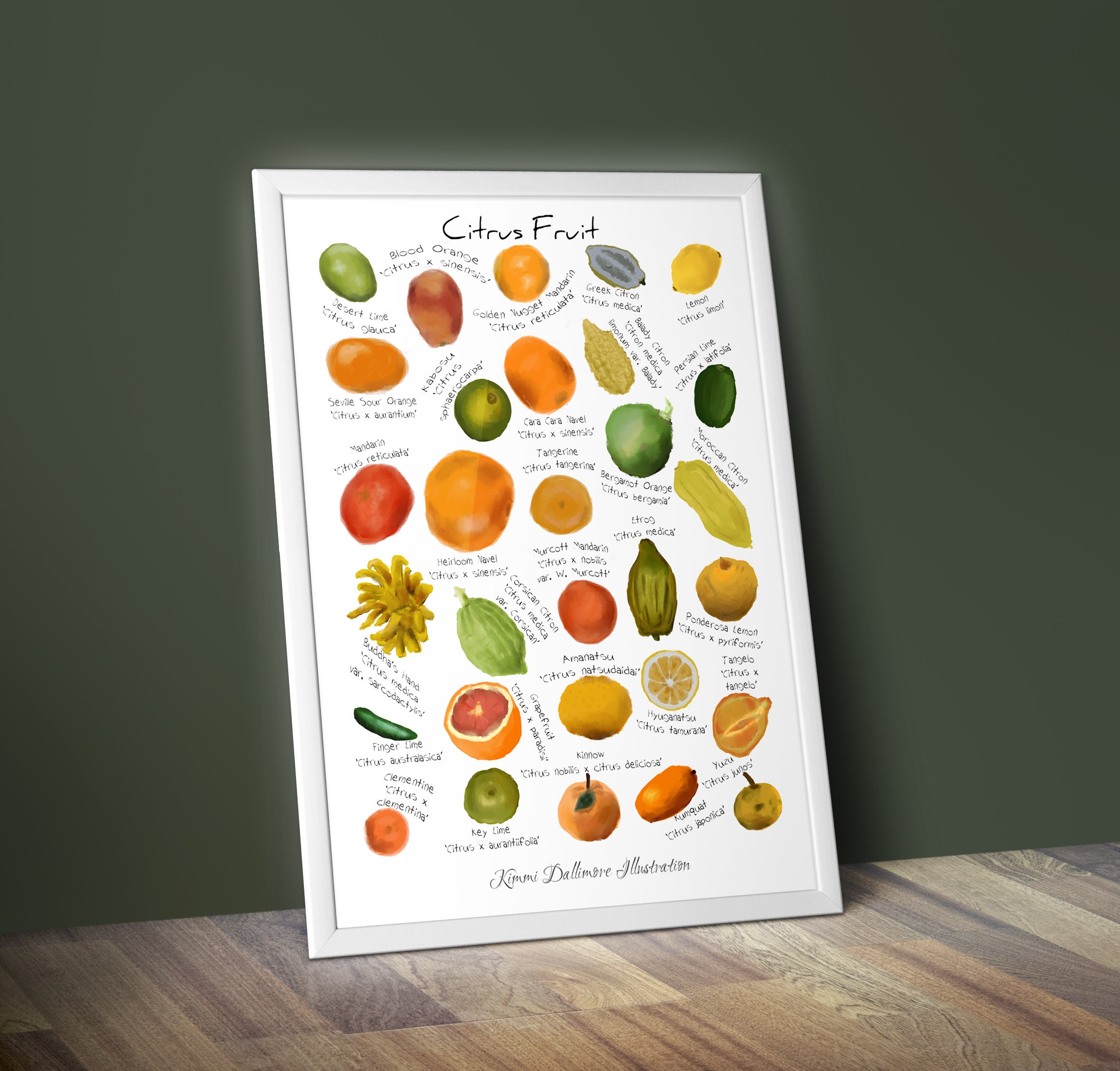Citrus Art Print Fruit Identification Wall Chart Lemon and Orange