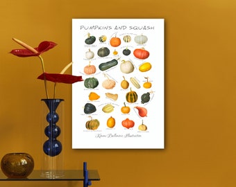 Pumpkin illustration art print, Pumpkin wall chart, Squash art print, Food wall decor, A3 art print,