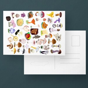 Pilze Kunst Postkarte, Pilz Illustration Postkarte, Food Illustration Postkarte, A6 Kunstdruck,