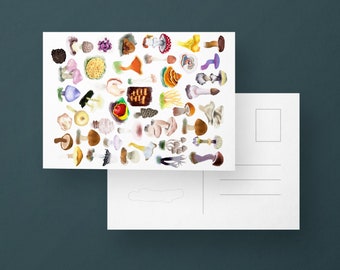 Fungi art postcard, Fungi illustration postcard, Food illustration postcard, A6 art print,