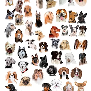 Dog breed illustration download, Without text, dog varieties wall chart, dog types art instant download, art for dog lovers,