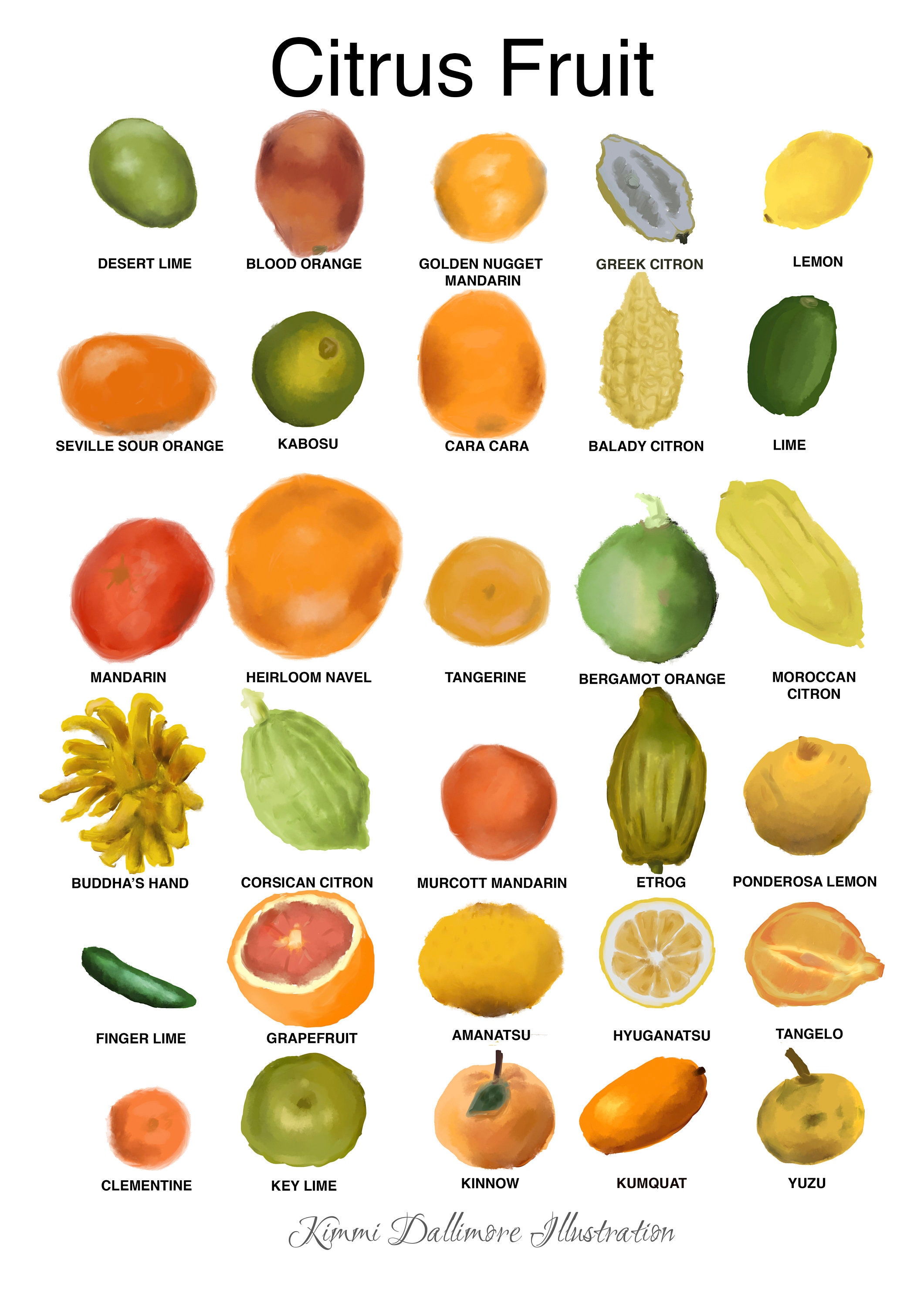 Citrus Art Print Fruit Wall Chart Lemon and Orange | Etsy Hong Kong