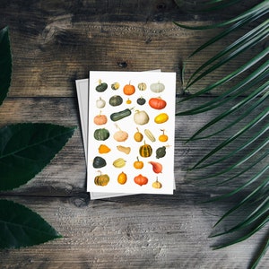 Charmante Kürbis-Postkarte - Wunderschön illustriertes Ernte-Kunstwerk für Herbst- / Herbstdekor und Geschenk, Foodie-Kunstwerk,