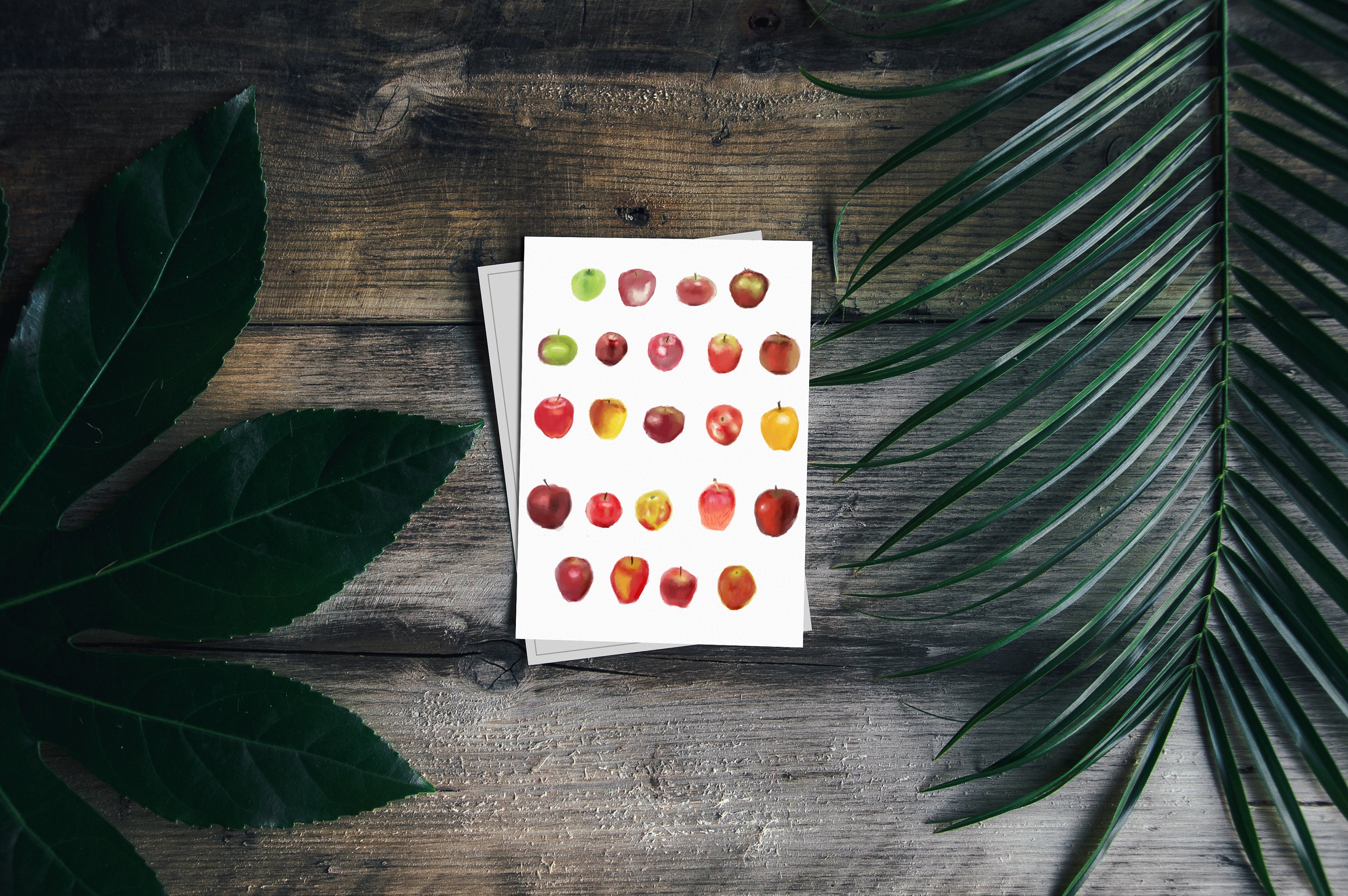 Apple Art Postcard, Fruit Illustration Postcard, Food Illustration