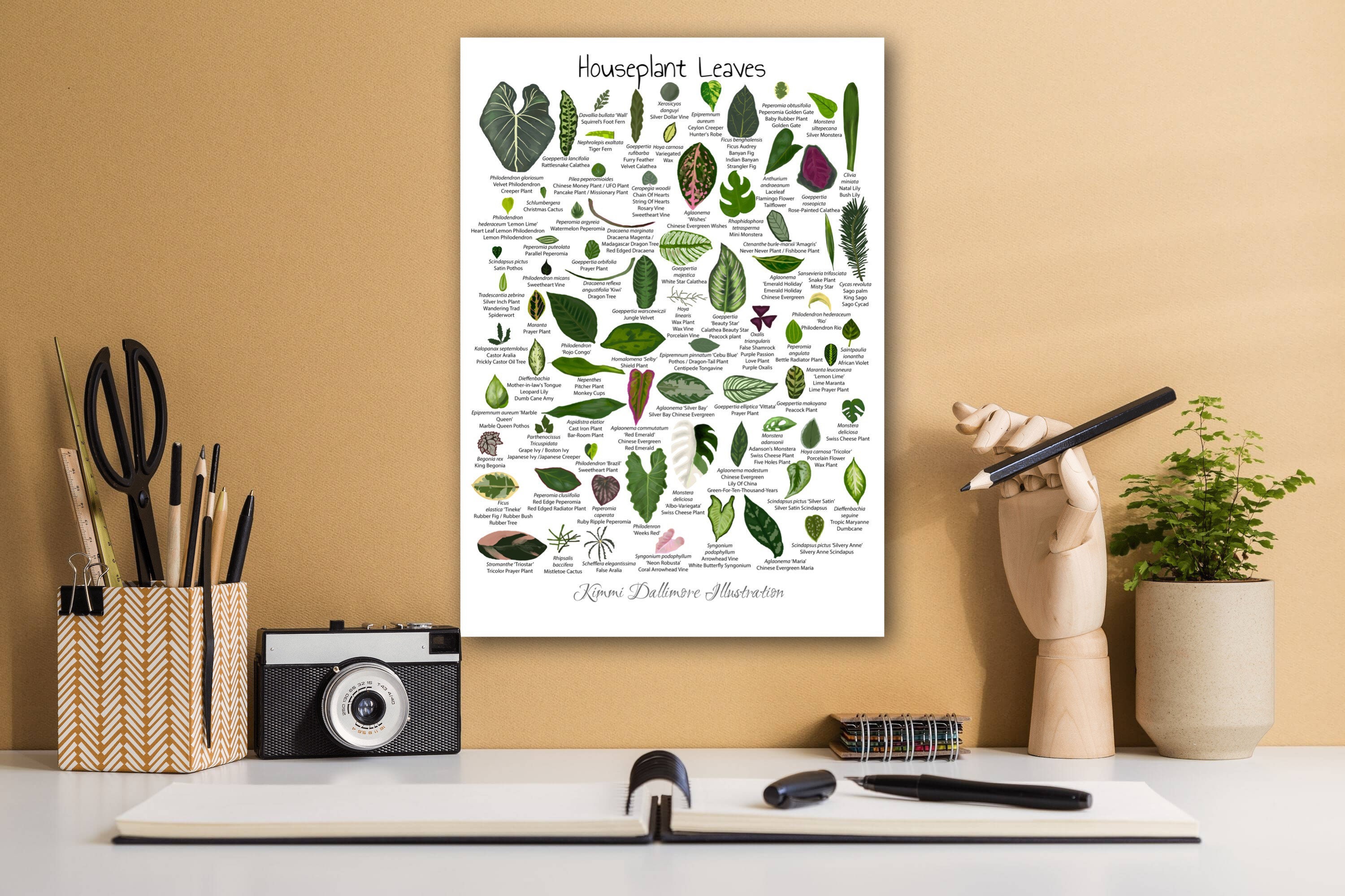 A2 Poster Print of Houseplant Leaves Illustration Leaf