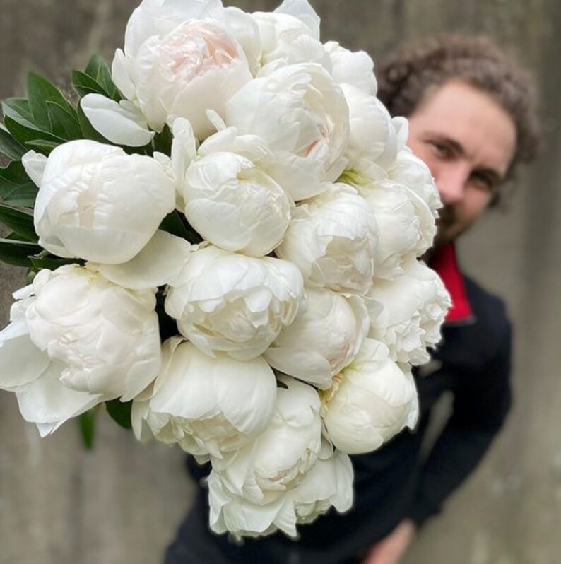 FALL Pre Order Peony ’ Madame Claude Tain’ bare root | Etsy