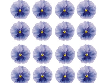 Pansy flower wafer/icing cupcake toppers - PRECUT