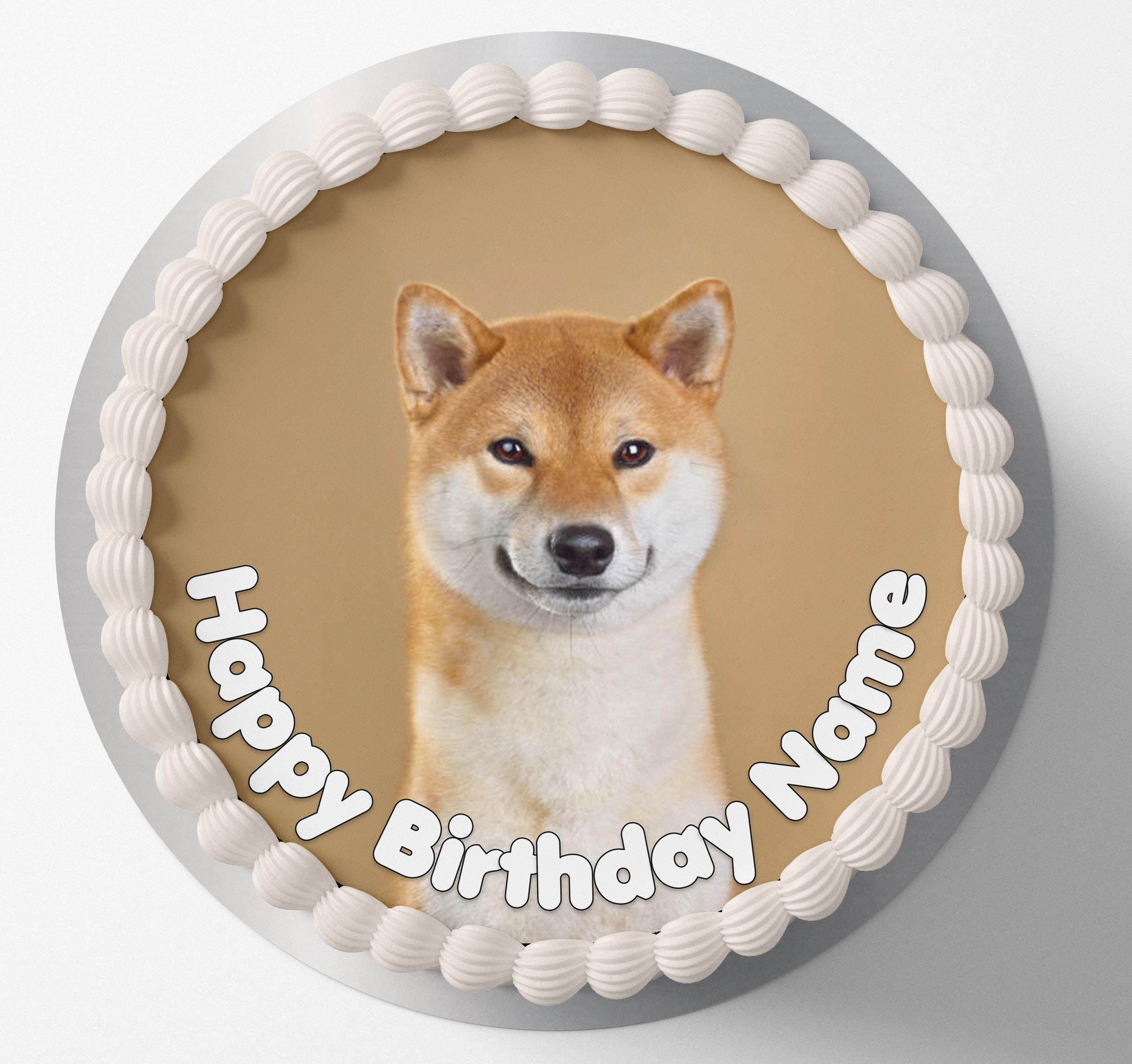 Shiba inu cake Polska