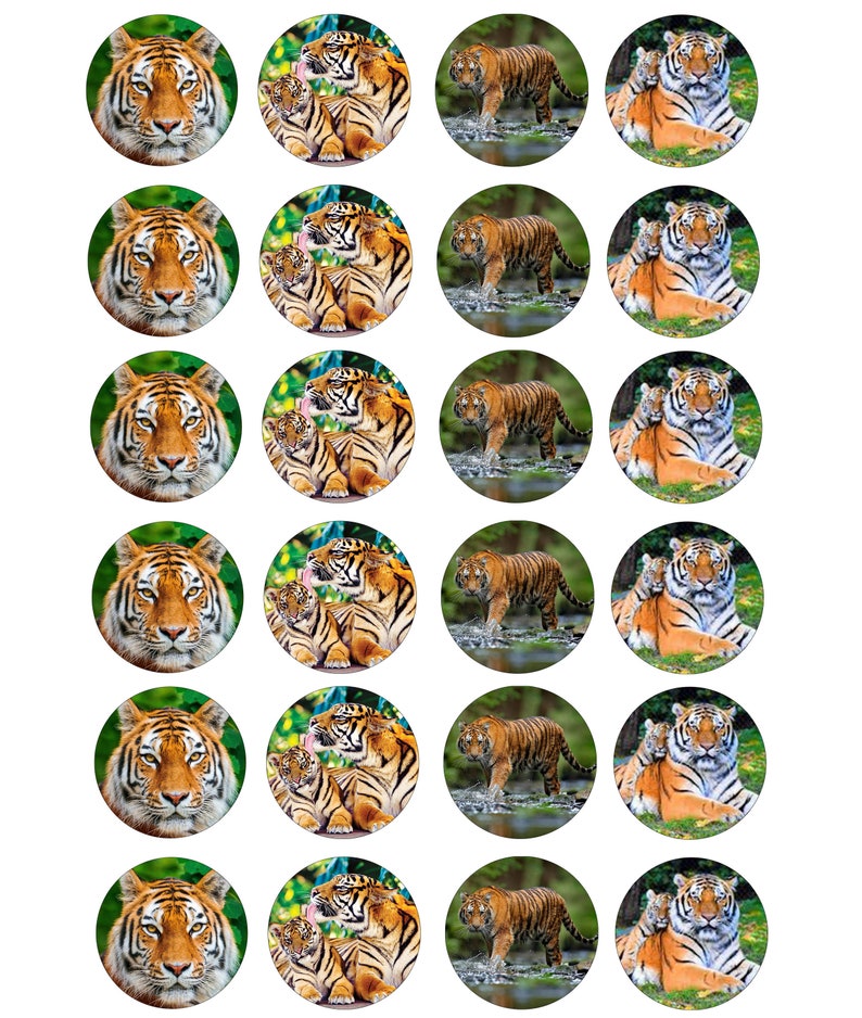Tigers Wafer/icing Cupcake Toppers Etsy