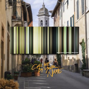 Call Me by Your Name (2017) Movie on Canvas | Movie Palette | Movie Barcode | Gift for Movie Lover | Unique Wall Art