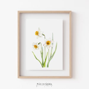 Daffodil Print, March Flower, Botanical Wall Art Prints, Printable Wall Art, Birth Flower Watercolor, White Room Decor, Instant Download