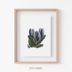 Cedar Tree Print, Lebanon&#39;s National Symbol, Cedrus, Botanical Watercolors Illustration, Digital Instant Download, Printable Wall Art prints