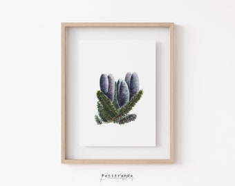 Cedar Tree Print, Lebanon's National Symbol, Cedrus, Botanical Watercolors Illustration, Digital Instant Download, Printable Wall Art prints