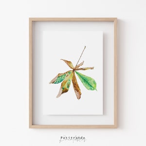 Horse Chestnut Print, Botanical Art Prints, Printable Wall Art, Autumn Leaf Print, Fall Art Decor, Autumn Home Decor, Instant Download