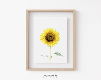 Sunflower Print, Botanical Wall Art Prints, Flower Printable Wall Art, Sunflower Poster, Yellow Flower Decor, Instant Download, Floral Print