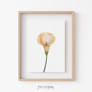 Calla Lily Print, Botanical Wall Art Prints, Flower Printable Wall Art, Calla Lily Poster, White Room Decor, Instant Download, Floral Print