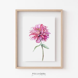 Zinnia Print, Botanical Wall Art Prints, Flower Printable Wall Art, Zinnia Poster, Pink Flower Decor, Instant Download, Printable Wall Art
