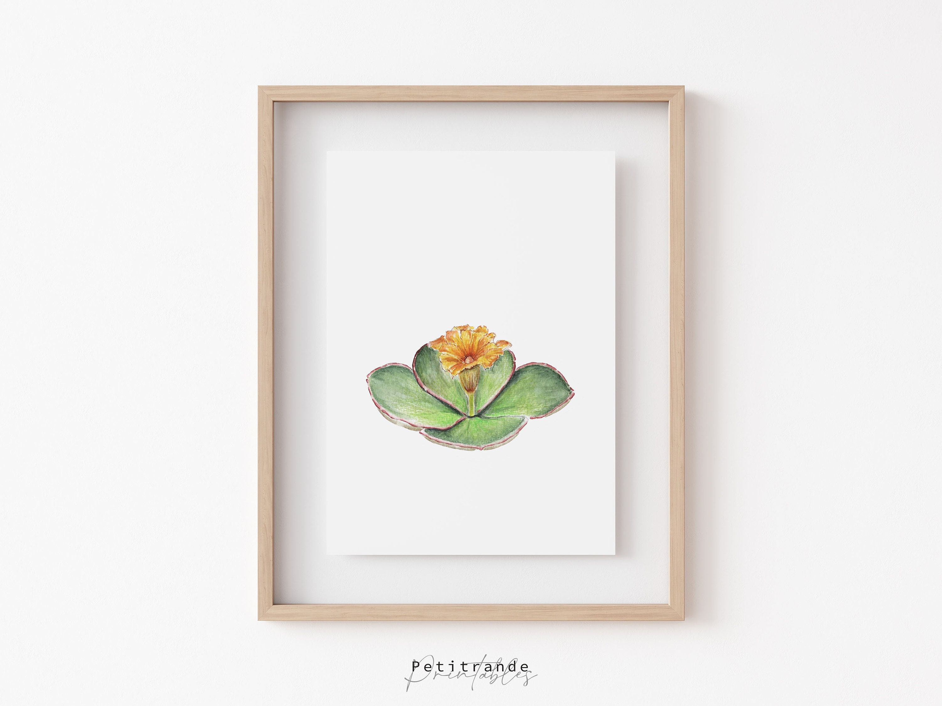 Costus Spectabilis Print, Nigeria's National Flower, Yellow