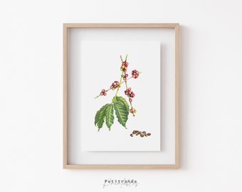 Coffee Art Print, Coffee Plant Print, Coffee Plant Botanical Print, Coffee Tree Gallery Wall Decor, Coffee Plant Poster Instant Download