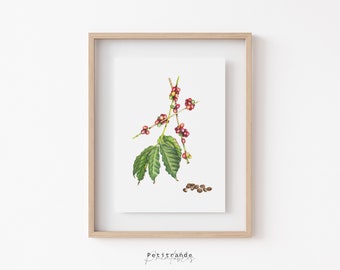 Impresión de arte de café, Impresión de planta de café, Impresión botánica de planta de café, Decoración de pared de la galería de árboles de café, Póster de planta de café Descarga instantánea