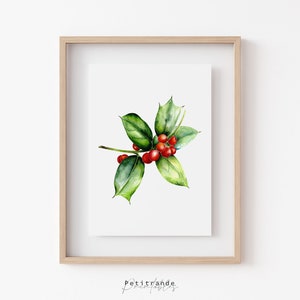 Czerwony Holly Berry Wydruk świąteczny, Kwiat grudniowy, Wydruki botaniczne, Wydrukowana sztuka ścienna, Akwarela kwiatów narodzin, Czerwony wystrój, Natychmiastowe pobieranie