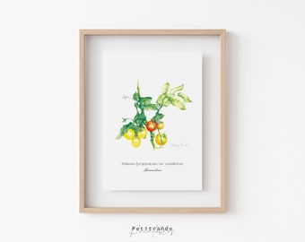 Tryck av körsbärstomater, botaniska väggkonsttryck, väggdekor av grönsaker, utskrivbar kökskonstposter, illustration av tomater, digital nedladdning