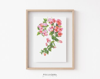 【絵画】ボタニカルアート「ブーゲンビレア」　原画 絵画】ボタニカルアート「ブーゲンビレア」 原画