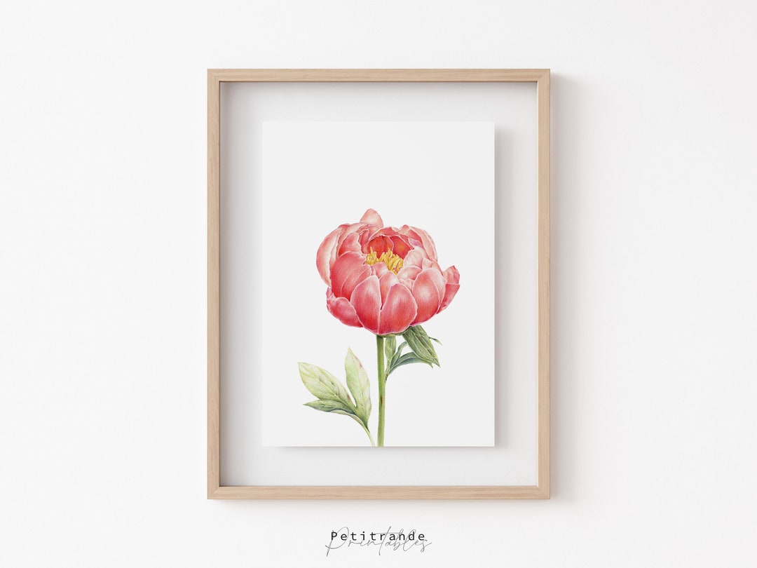 Coral Peony Print, Botanical Wall Art Prints, Flower Printable Wall Art ...