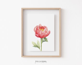 Coral Peony Print, Botanical Wall Art Prints, Flower Printable Wall Art, Peony Poster, Flower Decor, Instant Download, Printable Wall Art