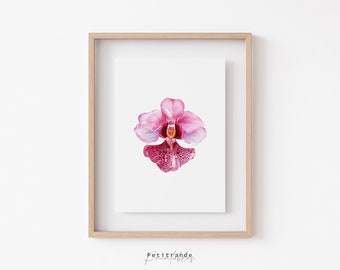 Vanda Miss Joaquim Orchid Print, Singapore's National Flower, Botanical Illustration, Digital Instant Download, Printable Wall Art prints