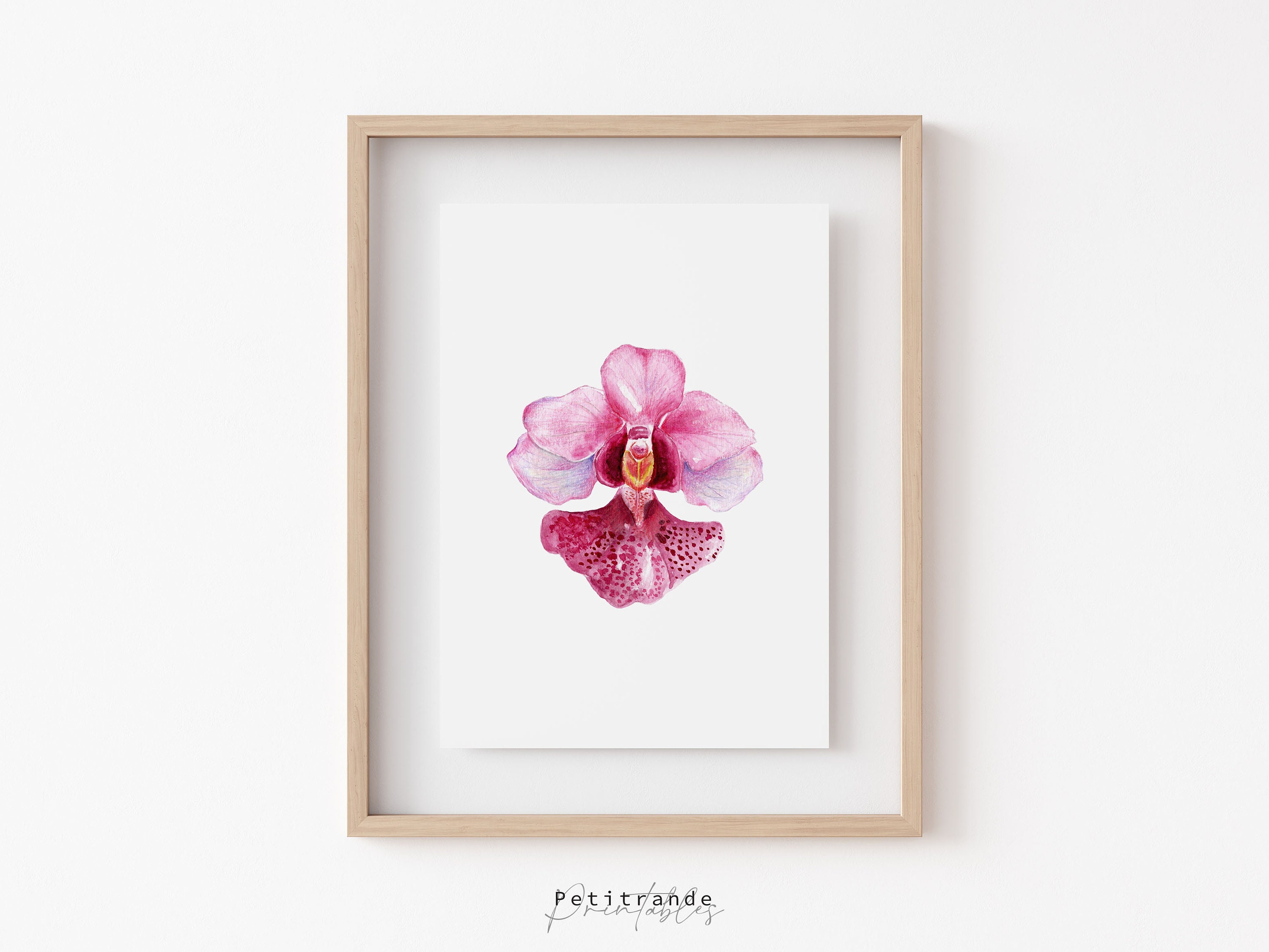 Vanda Miss Joaquim Orchid Print, Singapore's National Flower