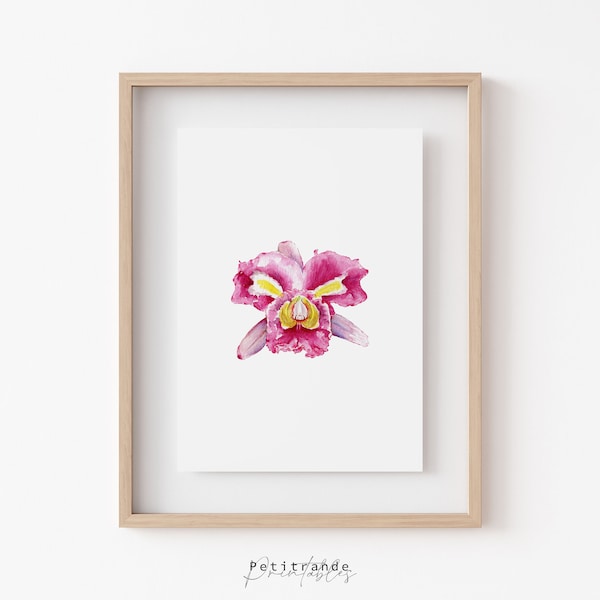 Cattleya Orchid Print, Colombia's National Flower, Botanical Watercolors Illustration, Digital Instant Download, Printable Wall Art prints