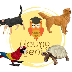 Pet Animals Flashcards