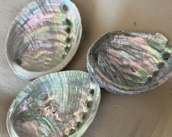 Abalone shell