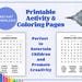 Fun Activity Pages for Kids -40 Printable Pages - Etsy